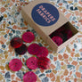 Dyed Agoya Shell Buttons | Guava 25MM