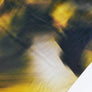 Allure - Printed Silk Satin | Citrine