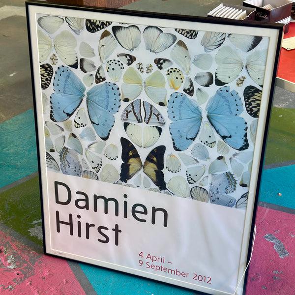 Damien Hirst Framed Print