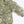 Ex-Designer Silk Crepe | Olive Green (LAST CUT - 1.6M)