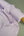 Polyester Crepe De Chine | Lilac