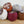 DMC Woolly - Heritage Merino Wool