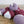 Zealana - Air | Cashmere, Possum, Silk (Lace Weight)
