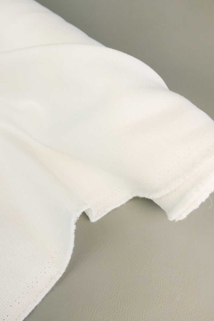 Salvador - Brazilian Cotton Canvas | Rice