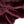 Vino - Korean Faux Fur | Merlot