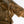 Shakira - Snakeskin Faux Suede | Toffee