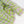 Allie - Yarn Dyed Cotton | Lime (LAST CUT - 2.2M)