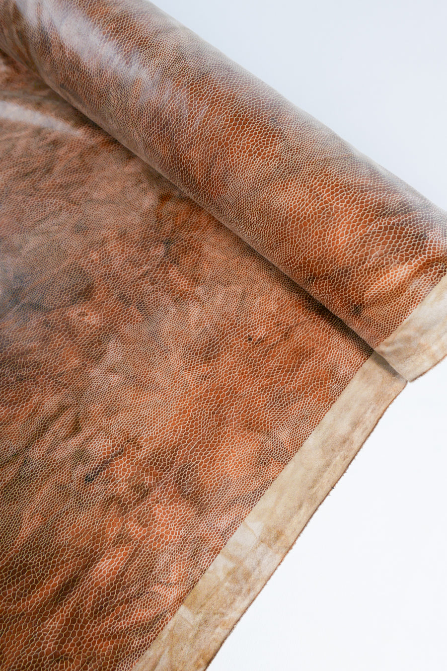 Shakira - Snakeskin Faux Suede | Apricot