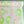 Trudy - Printed Cotton | Watermelon