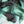 Allure - Printed Silk Satin | Emerald