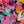 Mia - Printed Viscose Knit | Onyx Remnant (2.5m)