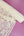 Dita Lace - Alençon lace | Cream