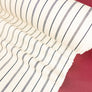 Asahi - Japanese Cotton Twill | Navy Stripe