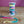 Bias Binding - Cotton | Retro