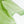 Indian Shot Silk Dupion | Keylime