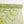 Indian Embroidered Silk Georgette | Key lime (LAST CUT)