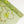 Indian Embroidered Silk Georgette | Key lime (LAST CUT)