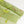 Indian Embroidered Silk Georgette | Key lime (LAST CUT)
