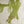 Edwin - Screen-Printed Linen | Natural Fish Scribble