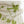 Edwin - Screen-Printed Linen | Natural Fish Scribble