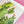 Saguaro - Screen-Printed Linen Gauze | Cactus