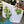 Saguaro - Screen-Printed Linen Gauze | Cactus (LAST CUT - 2.6M)