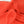 Italian Silk Crepe de Chine | Coral