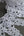 #2 Archival Venetian Lace - 23.5cm | White
