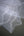 Vintage Embroidered Tulle Veil | White #3