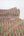 Amur - Printed Cotton Muslin | Orange
