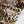 Pisticci - Printed Viscose | Toffee