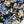 Honey - Printed Linen | Liquorice (2.6M)