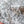 Bonnie - Printed Viscose | Dalmation